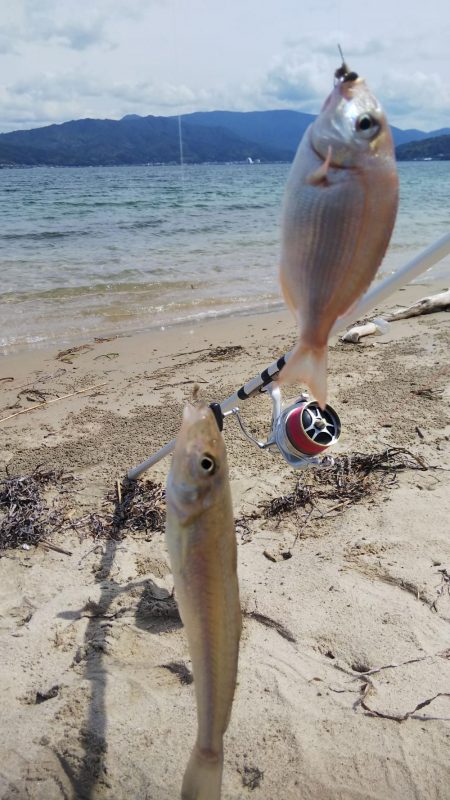 梅雨の合間のキス釣り